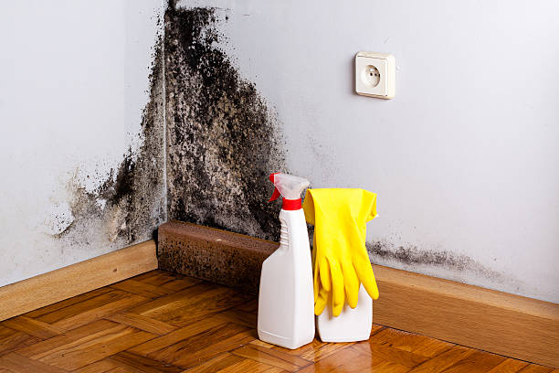 Gerald, MO Mold Remediation Company